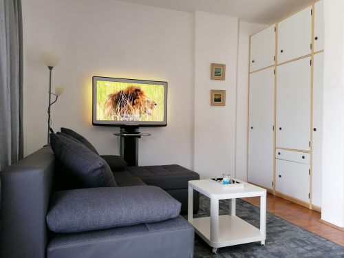 Bedroom / Living room